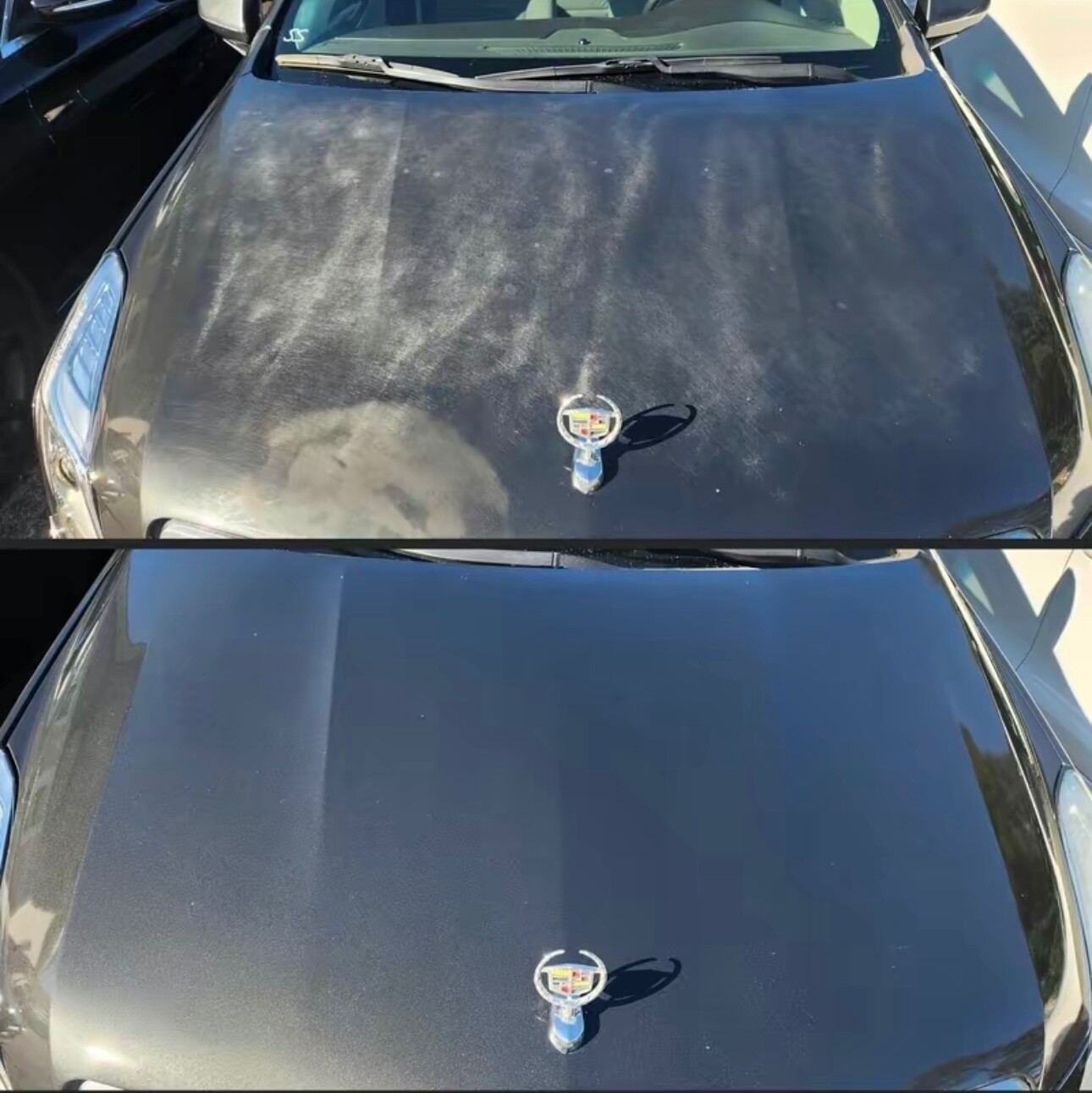 Shiny Car Stuff Clear Coat